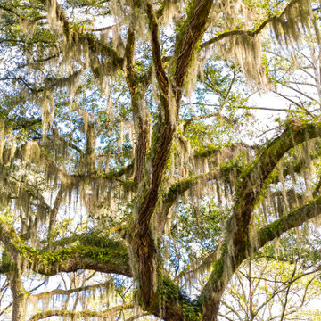 Southern Charm
