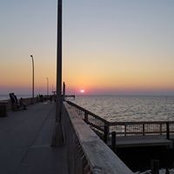 Julia Troxler's photo