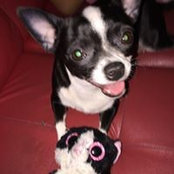 Mousie Clemeno's photo