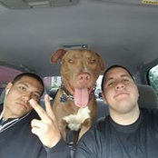 Chris Perez's photo