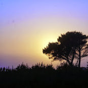 Catherine Butler's photo