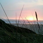 Joan Jacobson Gilbert's photo