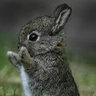 Paula Hatziantoniou's photo
