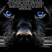 Adina Tatu's photo