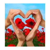 Carmen Pacheco-Payne's photo