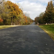Suzan Khaimi's photo
