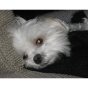 Chrissy Xavier's photo