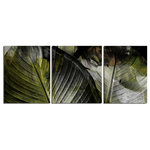 Ready2HangArt - Abstract Palm II Canvas Wall Art, 3-Piece Set - This tropical abstract canvas art set is the perfect addition to any contemporary space. It is fully finished, arriving ready to hang on the wall of your choice.