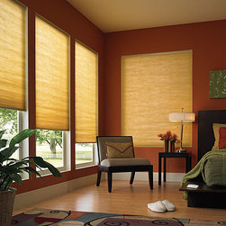 BlindSaver Advantage 3/8" Double Cell Light Filtering - Window Treatments