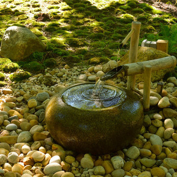 Woodland Retreat