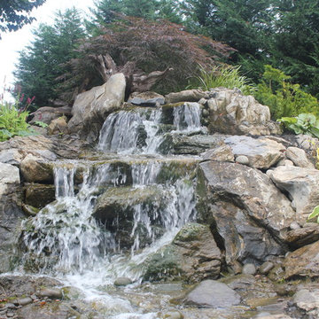 Pond Paradise Designs assorted photos