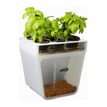 Indoor planters