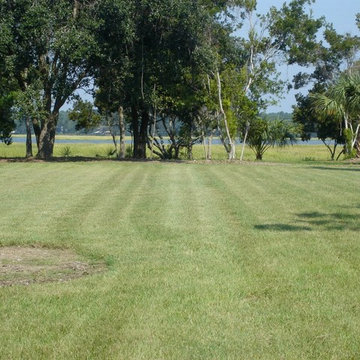 Turf Work