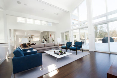 Living room - contemporary living room idea in New York