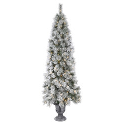 Traditional Christmas Trees by Vickerman Company