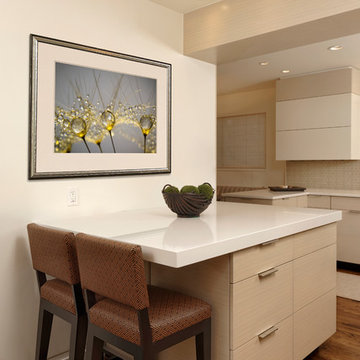 Chevy Chase, Maryland - Contemporary - Charming Kitchen Design