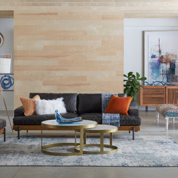 Modern Contemporary Great Room