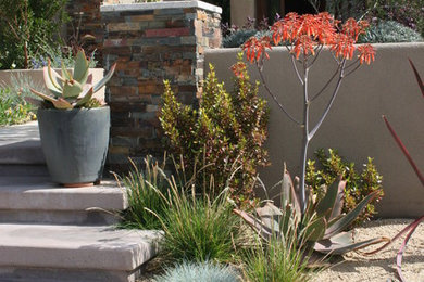 Design ideas for a landscaping in Orange County.
