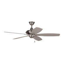 Ceiling Fans