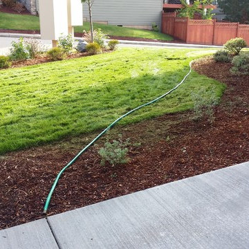 Mission Impossible MakeOver! Specimen Trees & Patio Down Extreme Slope