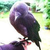 Soe Sezuki's photo