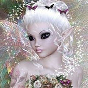 Photo de Michelle Shute