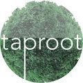 Taproot Studio's profile photo