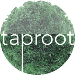 Taproot Studio