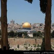 Suhair Alami's photo