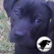 Chad Walton's photo