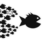 Mario Galarreta's photo