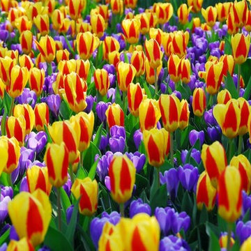 Spring Combination Ideas