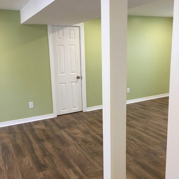 Basement Renovation 4