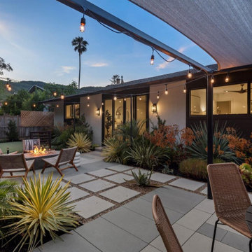 Contemporary Luxe Backyard