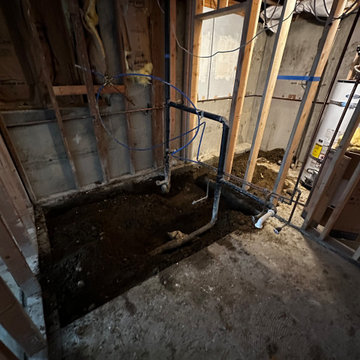 Federal Way Basement Remodel