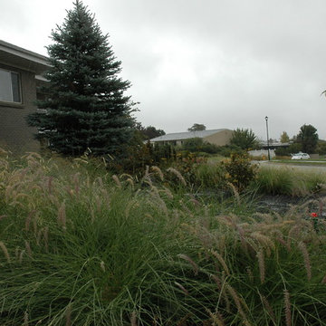 Above the Capitol Traditional Style Water Wise Yard