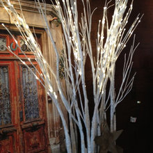 Lighted branches