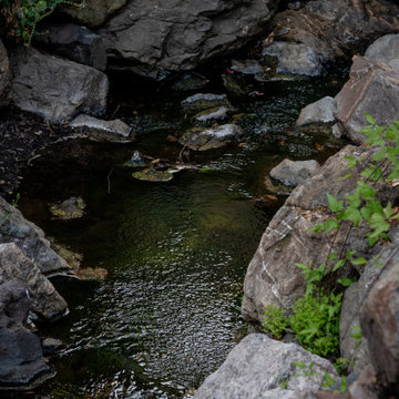 Planting Among the Stones