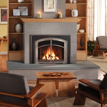 Gas Fireplace Inserts