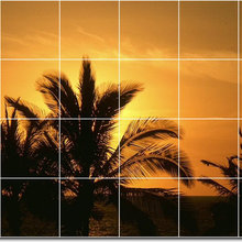 Palm Backsplash