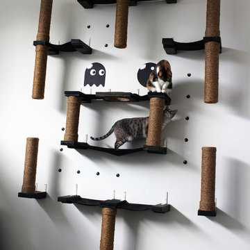 Pacman Cat Complex