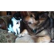 Corey Keys's photo
