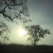 Foto von Nina Saparia