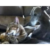 Cherie Miner's photo