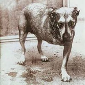 Foto von Nicholas Johnston