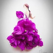 Alam Shin's photo