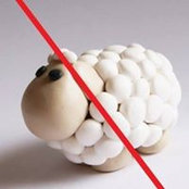 Stephane Tenente's photo