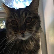 Diane Harju's photo