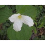 Angela Mills's photo