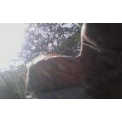 Patti O'Stone's photo